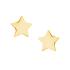 Cercei argint placati cu aur galben stelute DiAmanti Z1540E_G-DIA (Argint 925‰ 1 g.)