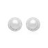 Cercei perle naturale albe din argint cu cristale DiAmanti SK15412E_W-G (Argint 925‰ 2,6 g.)
