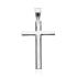 Cruce argint pandantiv DiAmanti CRAL0249-AS (Argint 925‰ 3,5 g.)